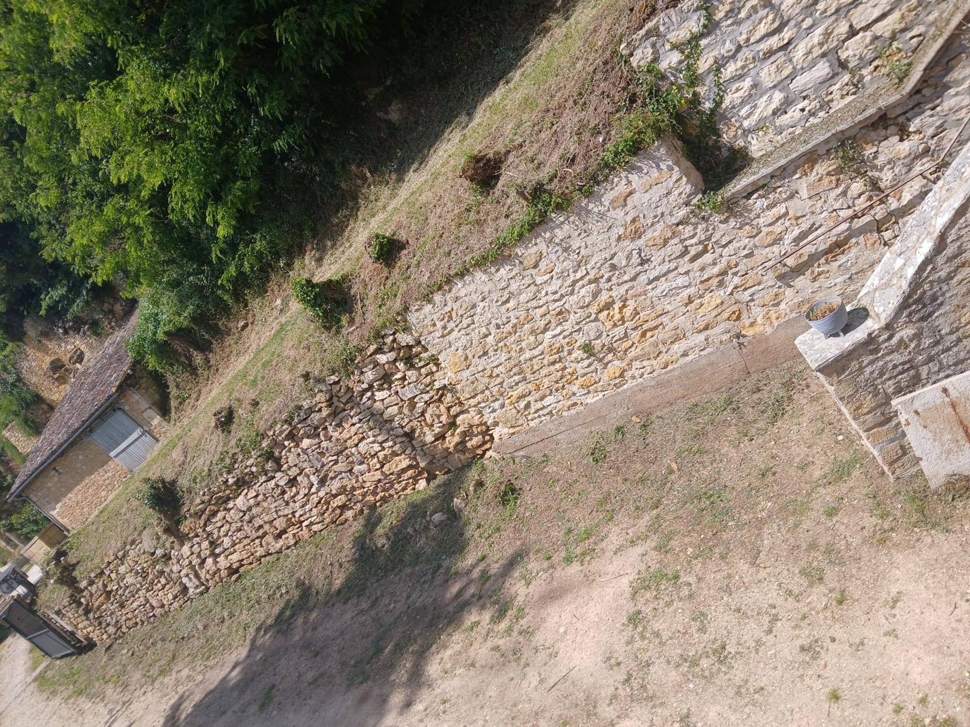 Chambre Tout Confort Beynac-et-Cazenac Eksteriør billede